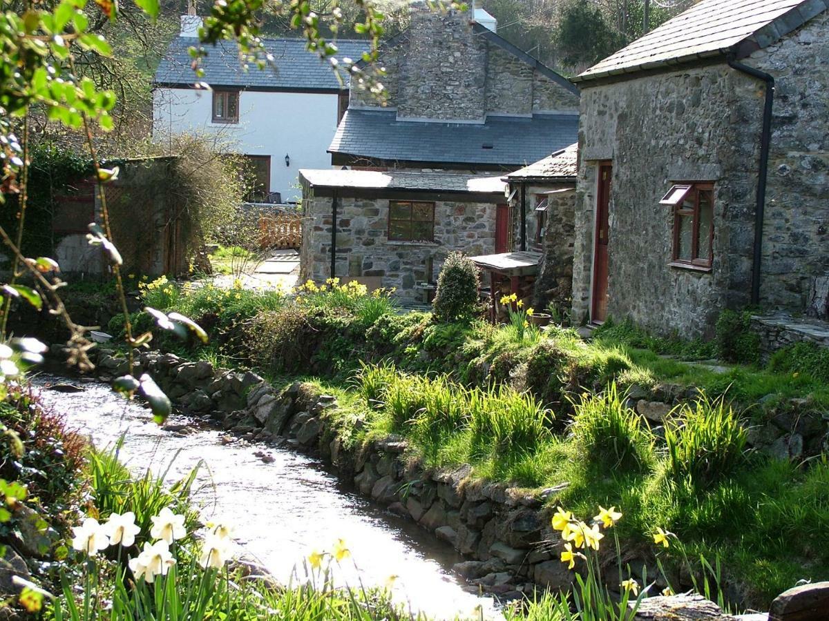 Homer Farm Marytavy Εξωτερικό φωτογραφία