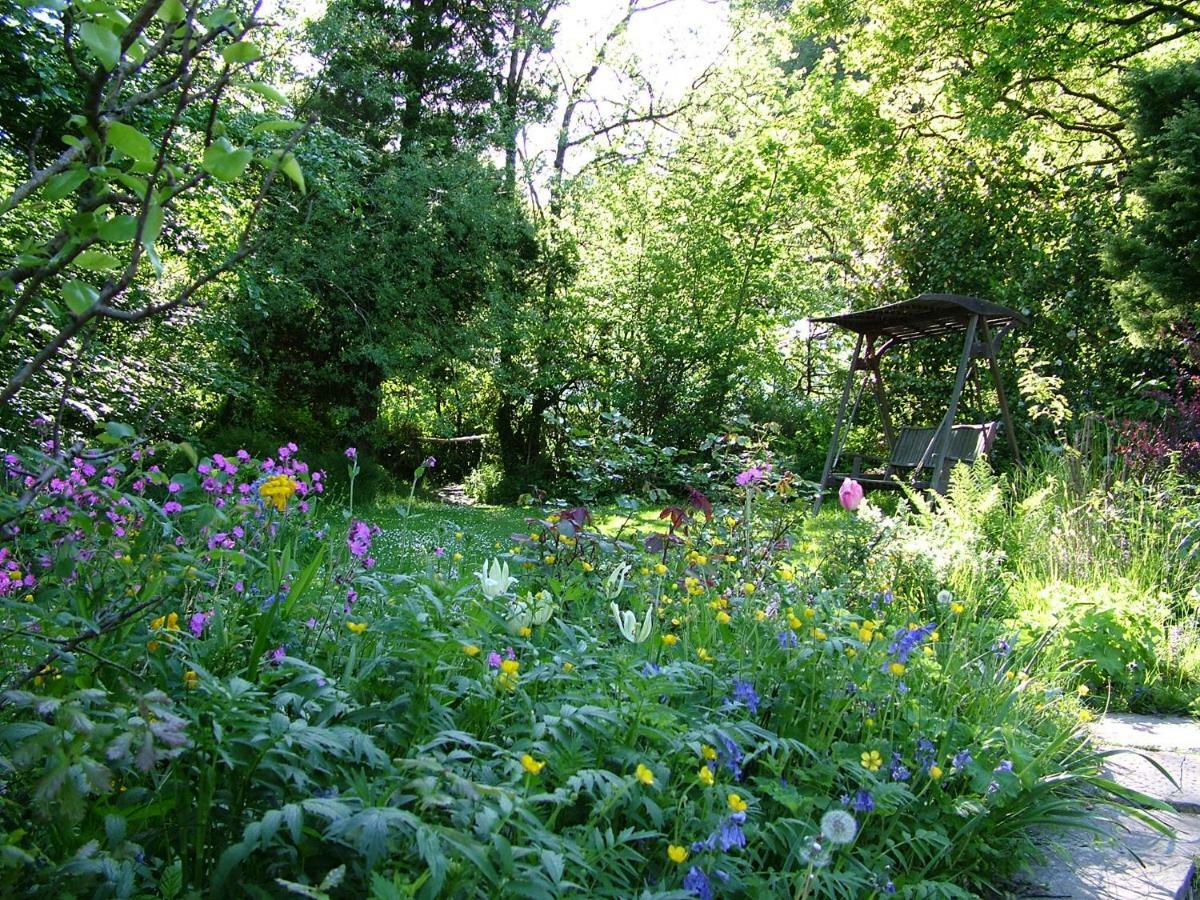Homer Farm Marytavy Εξωτερικό φωτογραφία